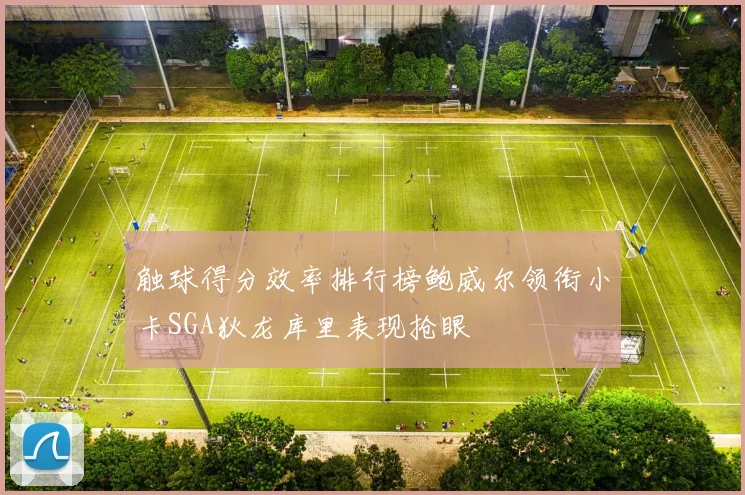 触球得分效率排行榜鲍威尔领衔小卡SGA狄龙库里表现抢眼