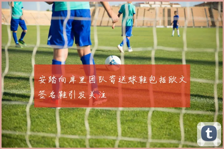 安踏向库里团队寄送球鞋包括欧文签名鞋引发关注
