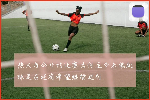 热火与公牛的比赛为何至今未能跳球是否还有希望继续进行