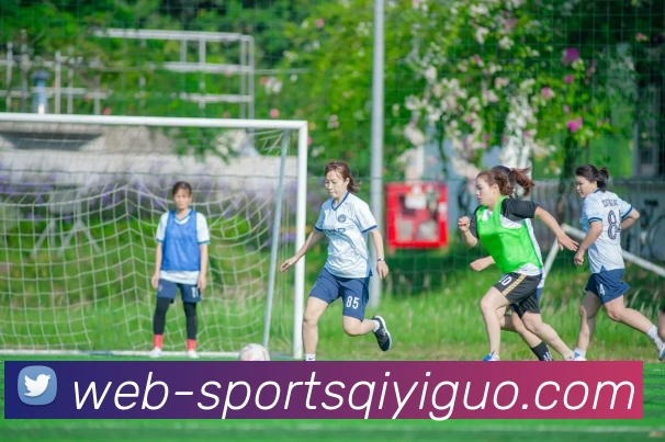 多媒体互动体验